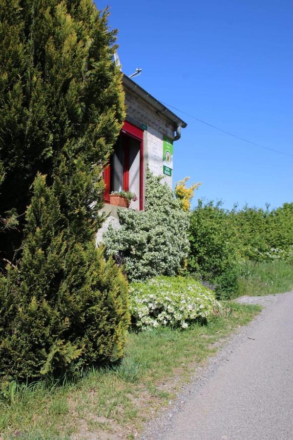 Gitavesnois - 4910 - * Willies